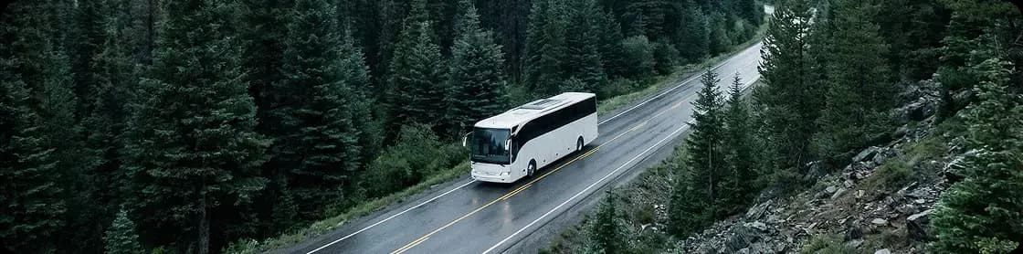 Coach on mountain forest road.