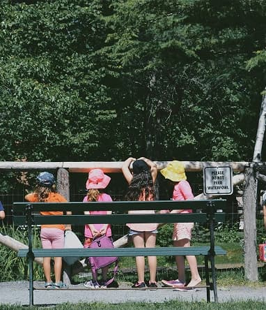 Kids summer camp fence outdoor adventure.
